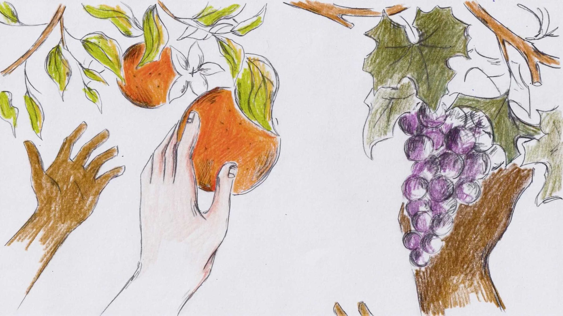 WWF Nature needs us now commercial by BluBlu Studios | STASH MAGAZINE