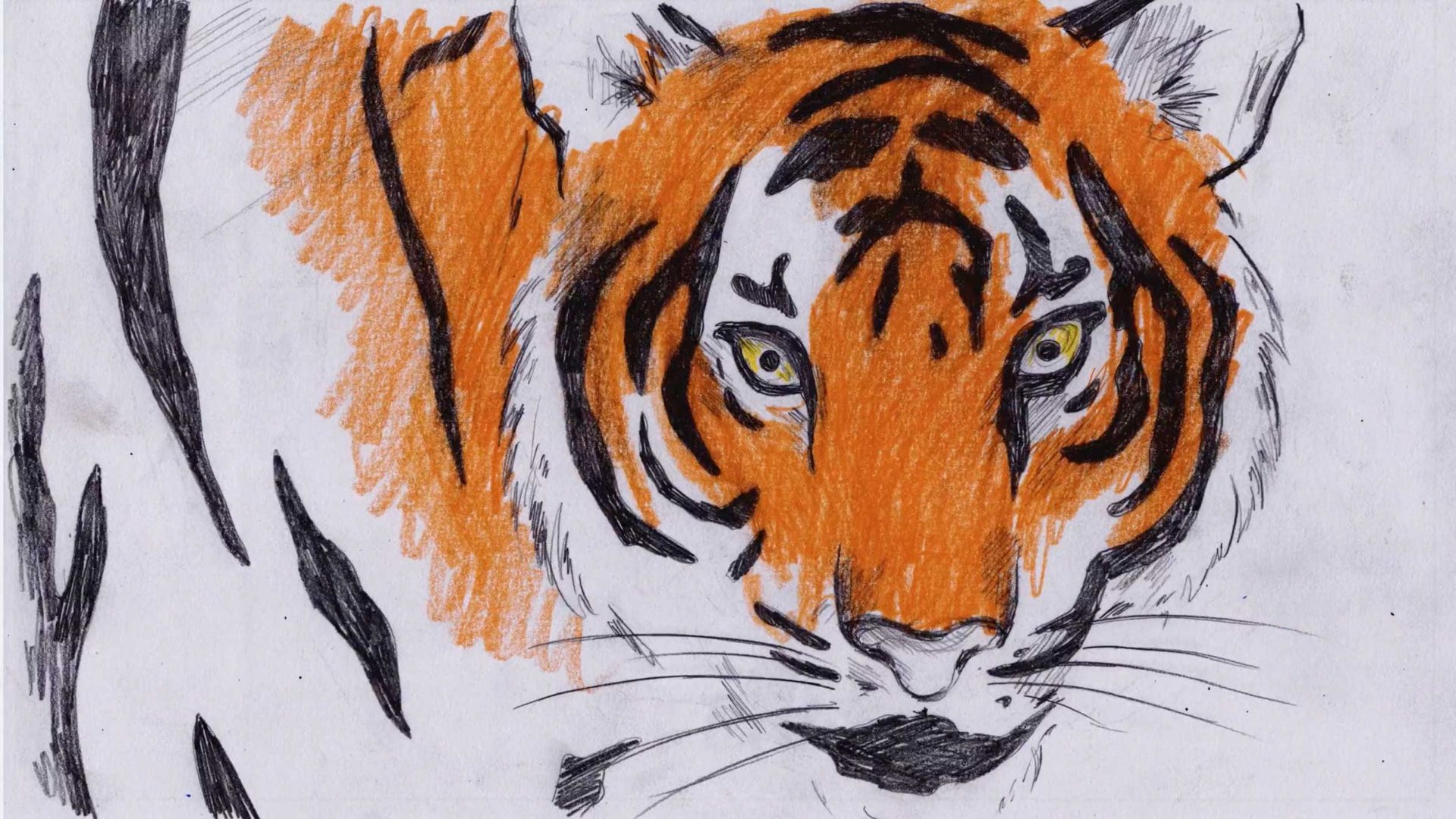 WWF Nature needs us now commercial by BluBlu Studios | STASH MAGAZINE