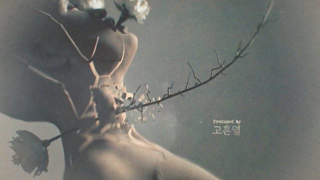 Xinyue Gu Explores A Woman's Loss of Self in Spec TV Titles - Motion ...