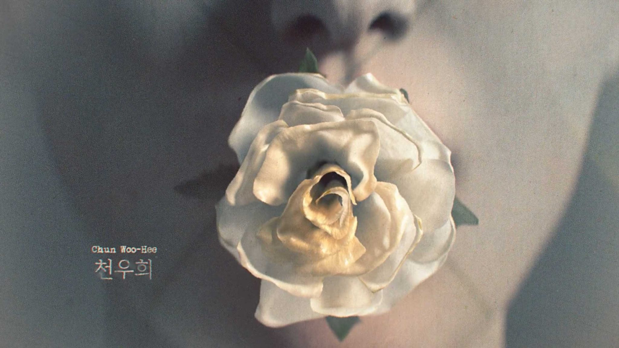 Xinyue Gu Explores A Woman's Loss of Self in Spec TV Titles - Motion ...