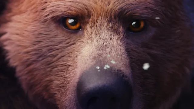 SHED_LottoMax Bear | STASH MAGAZINE