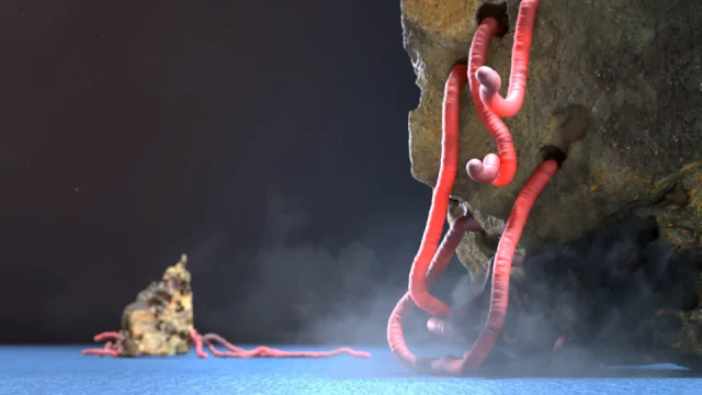 Alessandro Parisi Hesperius Draco by Richard Lord | STASH MAGAZINE