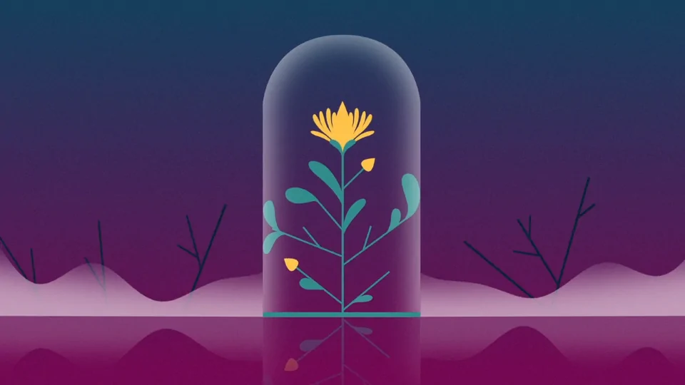 Patrick Knip I Don't Know short film | STASH MAGAZINE