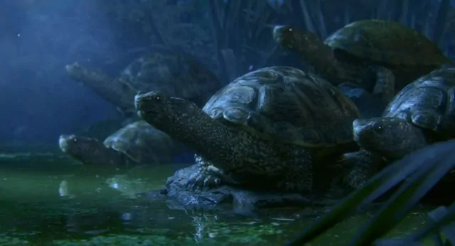 Maestro short CG film by Illogic | STASH MAGAZINE