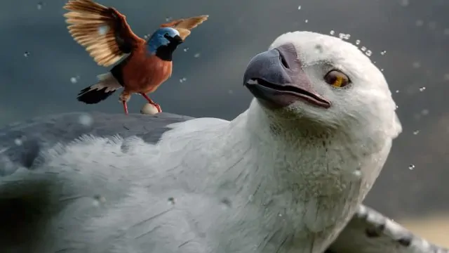 Allianz Care You Can Count On spot by Michael Gracey & Alt vfx | STASH MAGAZINE