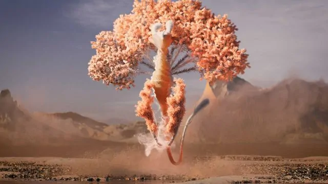 Twistedpoly Explores the Complexities of a New Life in 