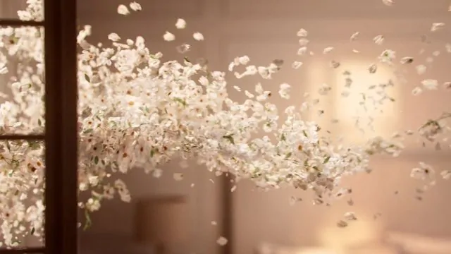 Steelworks and The Joelsons “Let Extraordinary Take Over” for Boll & Branch (Director's Cut)