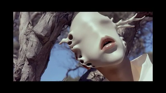 Sebastian Onufszak Wakes Up to 