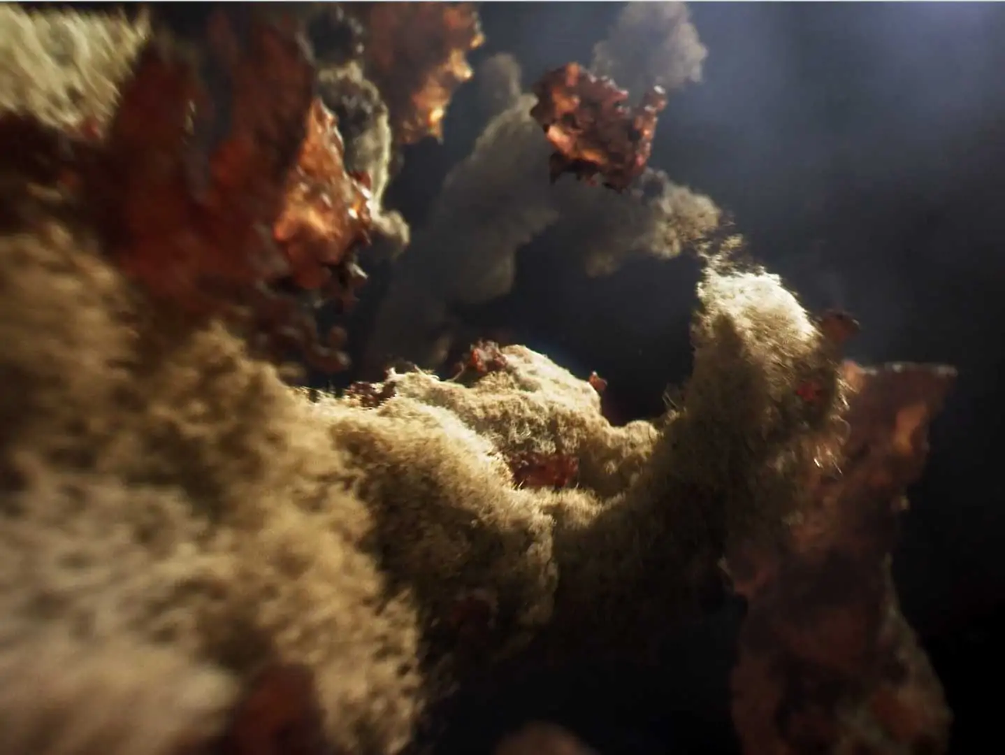 Guinness Goodness Optical Arts Fabrice Le Nezet | STASH MAGAZINE