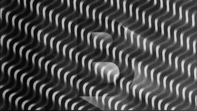 Lobo Leica | STASH MAGAZINE