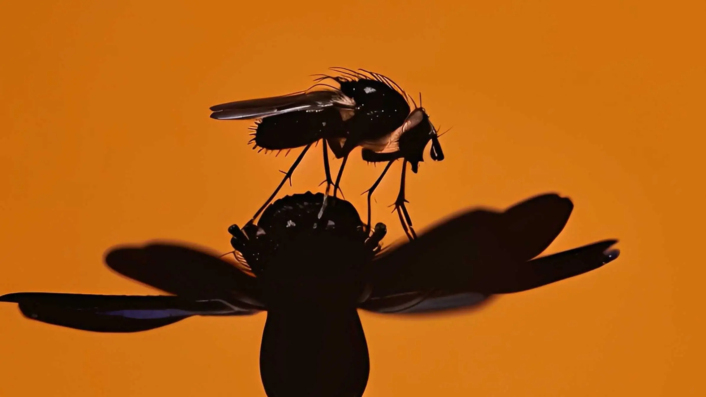 MAPP MTL Projection by Baillat Studio | STASH MAGAZINE