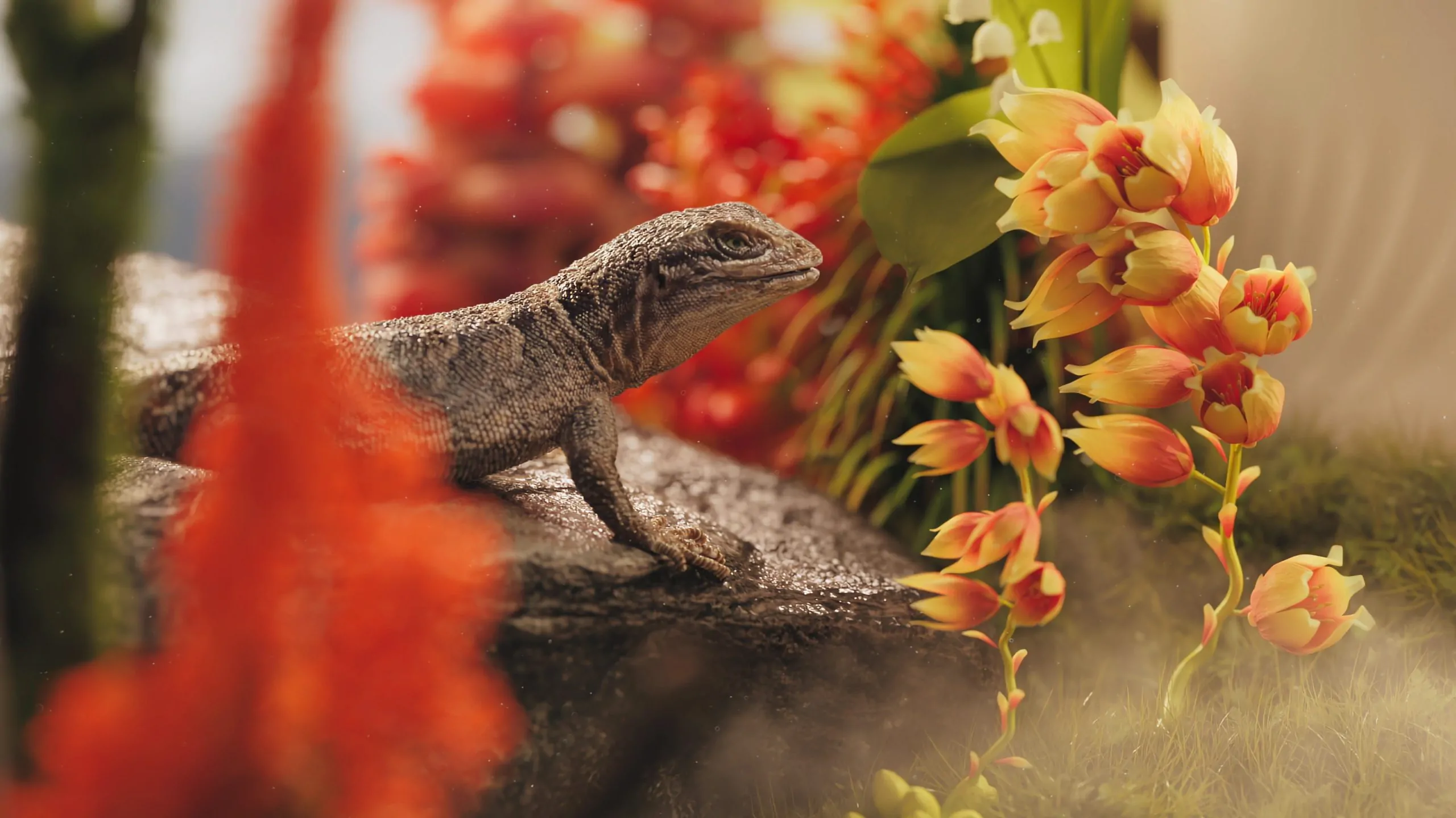 Macaronesian Gin brand film by TAVO Studio | STASH MAGAZINE