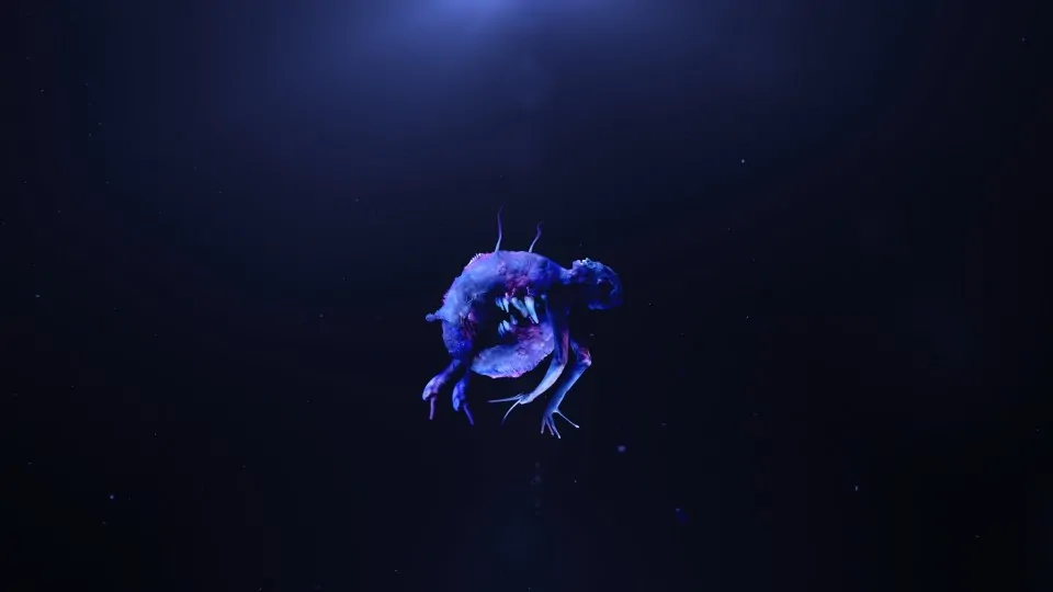 Tagliafierro_Optogram | STASH MAGAZINE