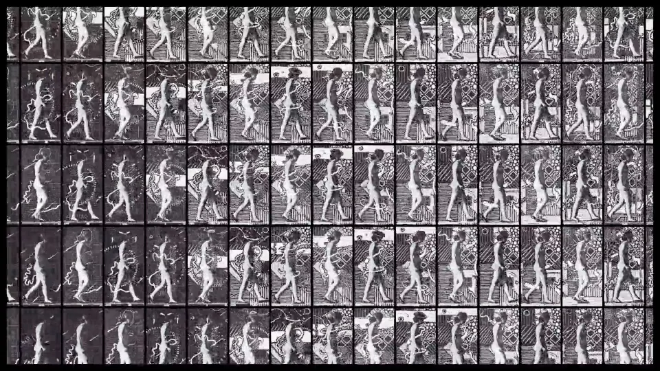 In Pursuit of Ghosts - Max Cooper & Tom Hodge | STASH MAGAZINE