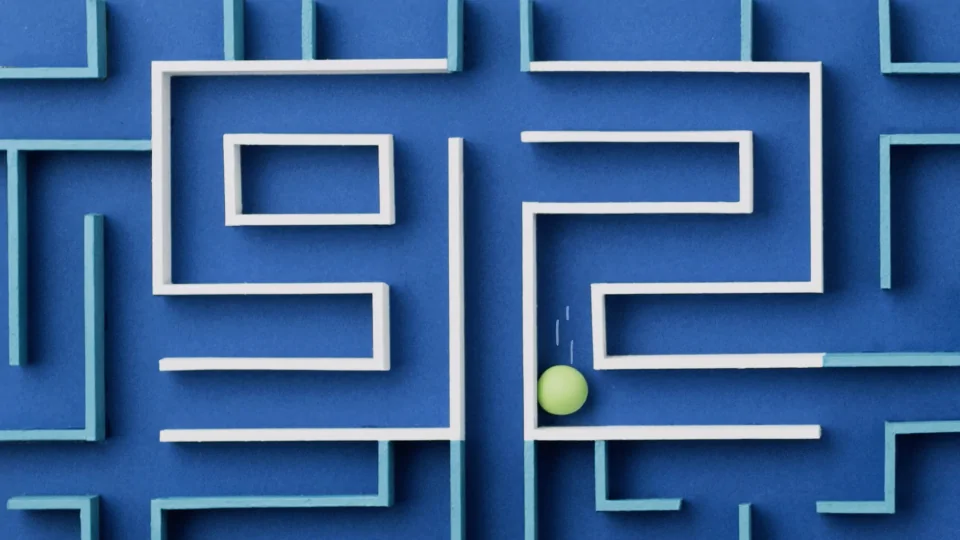 Sprout brand video by Lucinda Schreiber | STASH MAGAZINE