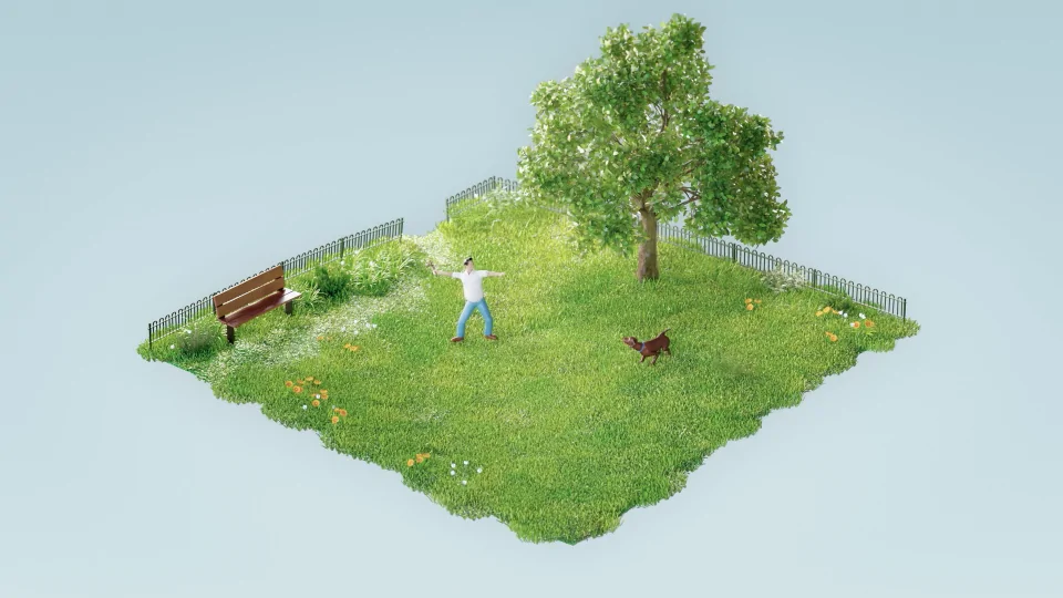 Fetch looping short film by Nomographic | STASH MAGAZINE