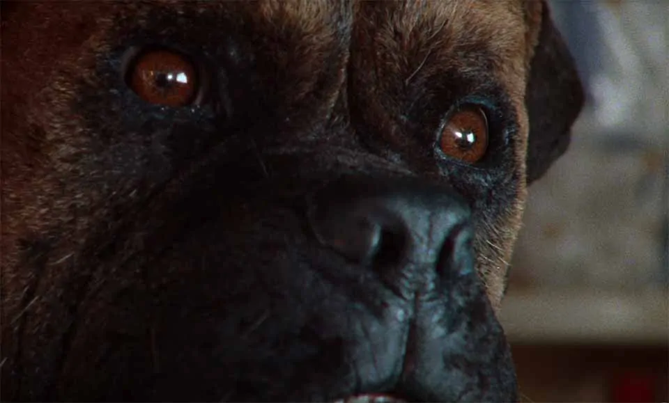 MK "Chemical" Music Video by Aube Perrie and MYND x Wanda | STASH MAGAZINE