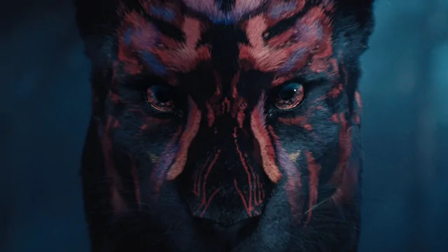 Forward Festival Main Titles Celebrate the Odd One Out