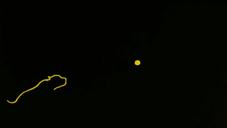 Pedigree 14 Years | STASH MAGAZINE