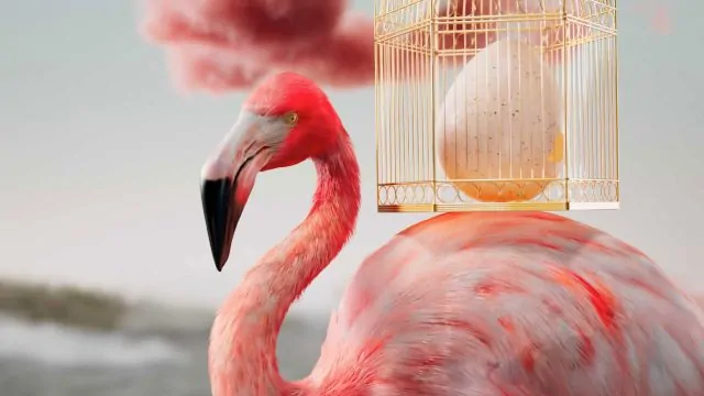 TAVO Studio Redefines the Circus for Madrid Social Club