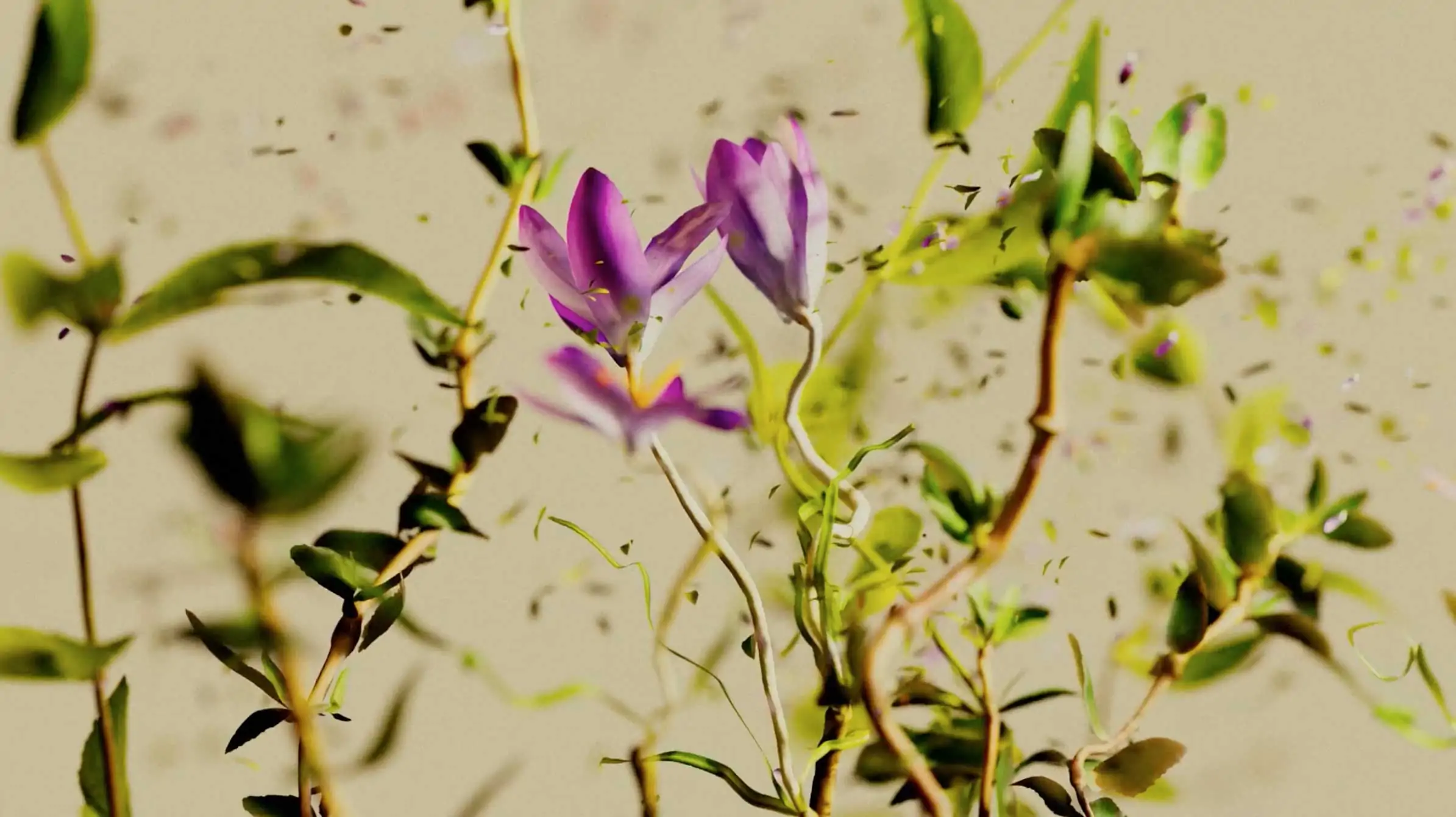 Tomakti Studio Spawns Science From Nature for Eallos | STASH MAGAZINE