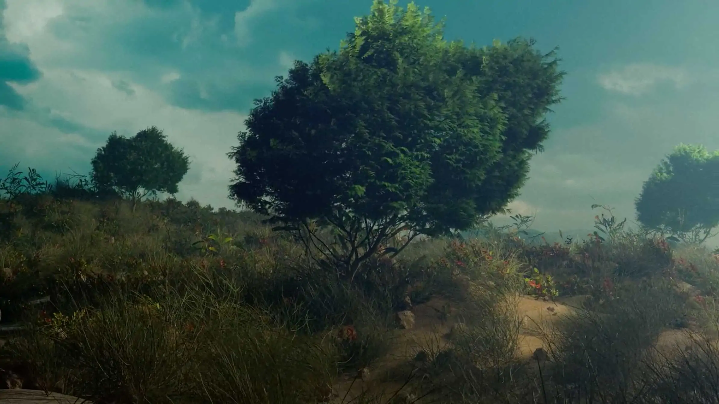 Tomakti Studio Spawns Science From Nature for Eallos | STASH MAGAZINE